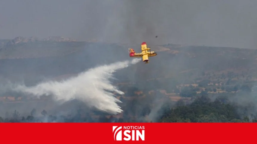 España concentra el 44 % de la superficie quemada por incendios en la UE en 2026