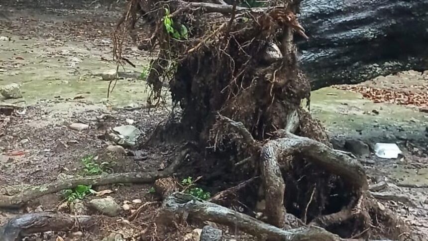 Lluvias dejan incomunicada la frontera de Pedernales con Haití y dañan vías agrícolas